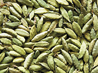 Cardamome